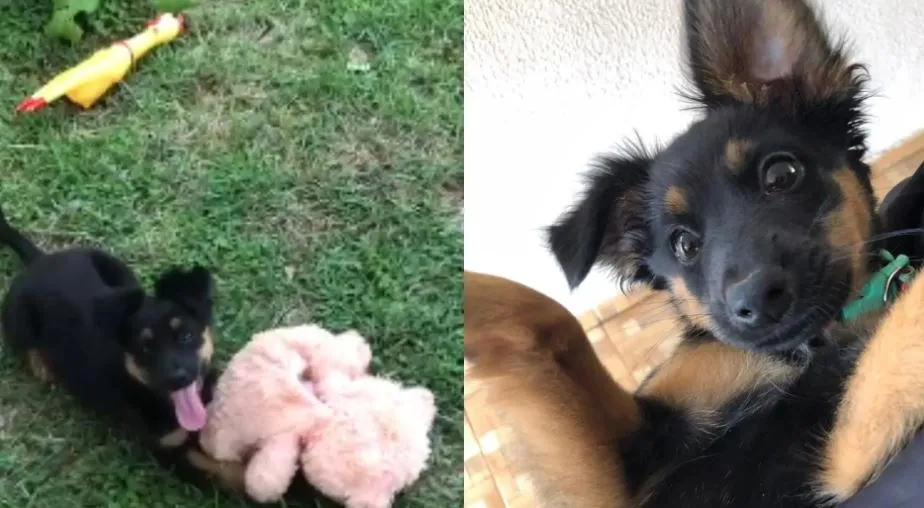 Foto: Fala Povo Midiamax